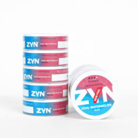 [EU ZYN] 11mg Cool Watermelon (5 Cans / Sleeve)