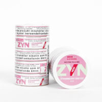 [EU ZYN] 12mg Strawberry Kiwi Ice (5 Cans / Sleeve)